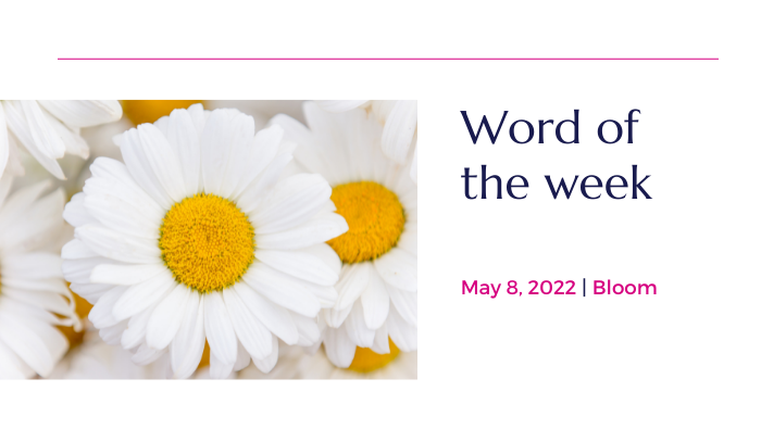 Bloom: May 9, 2022 Word of the Week